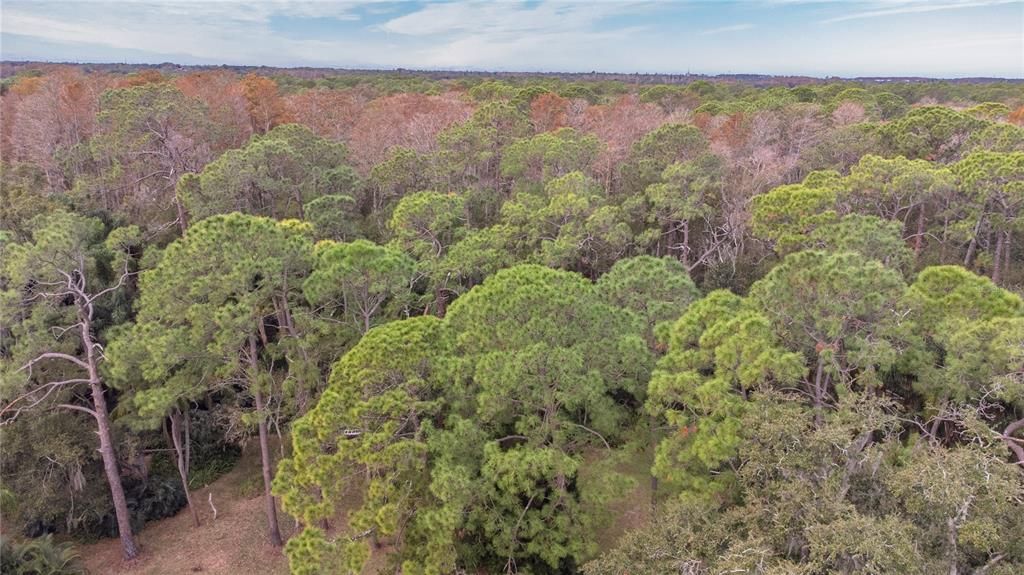 For Sale: $454,900 (2 beds, 2 baths, 1751 Square Feet)