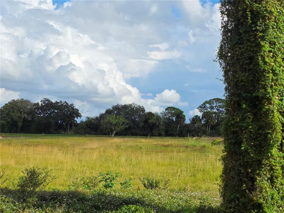 На продажу: $159,900 (1.73 acres)