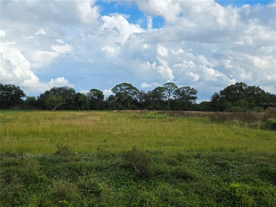 На продажу: $159,900 (1.73 acres)