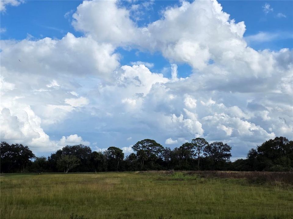 На продажу: $159,900 (1.73 acres)