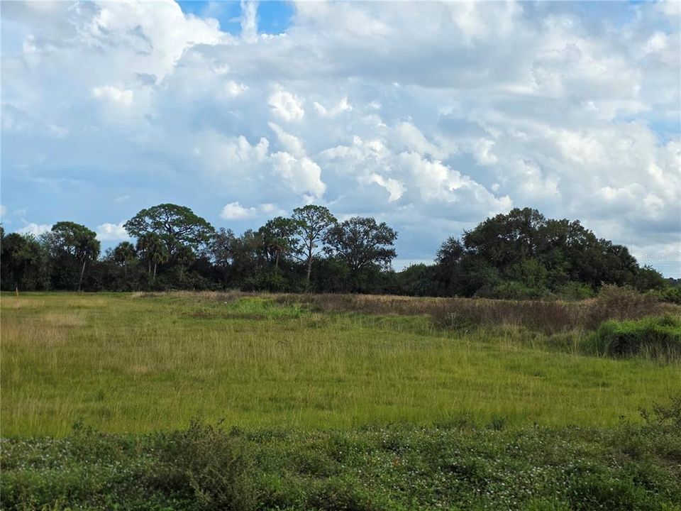 На продажу: $159,900 (1.73 acres)