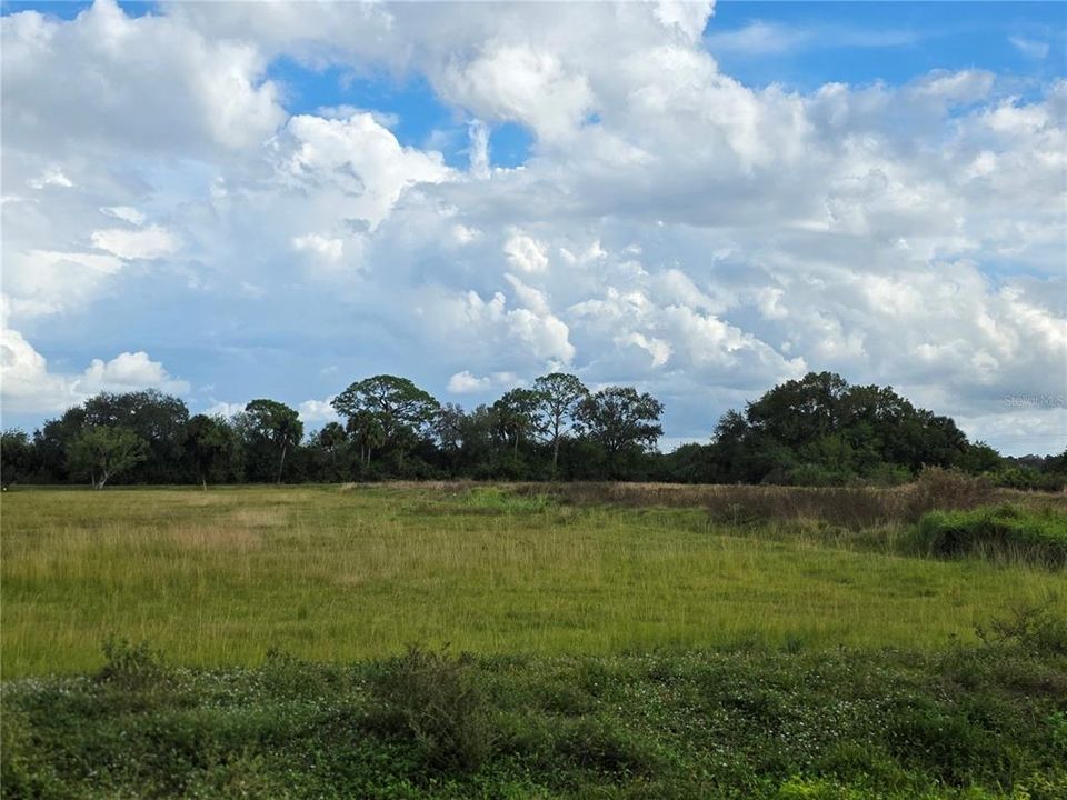 На продажу: $159,900 (1.73 acres)