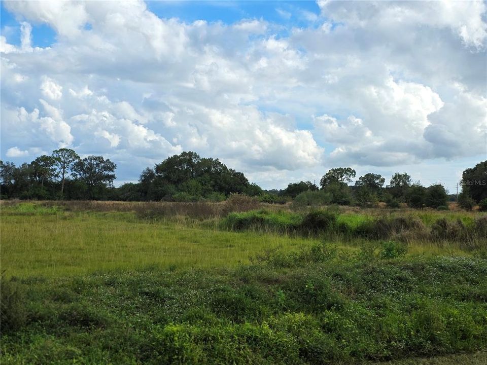 На продажу: $159,900 (1.73 acres)