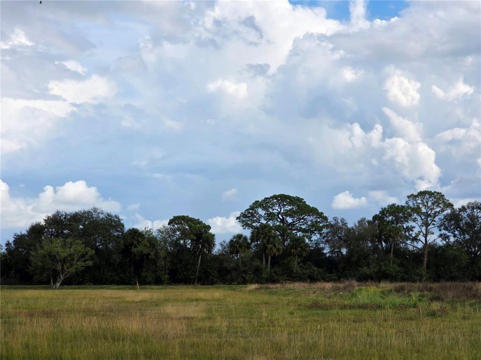 На продажу: $159,900 (1.73 acres)