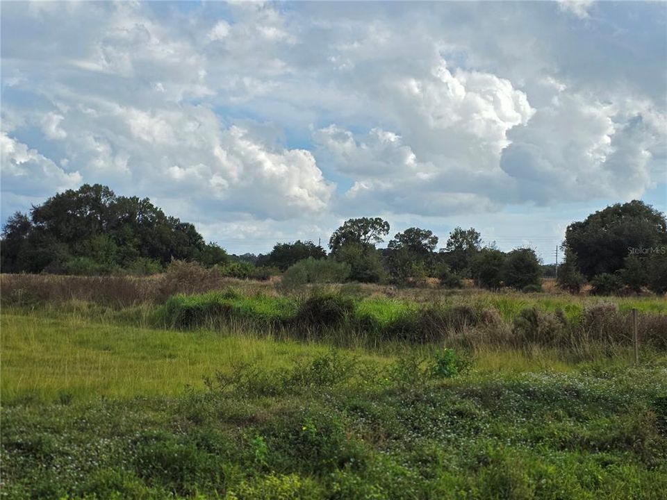 На продажу: $159,900 (1.73 acres)