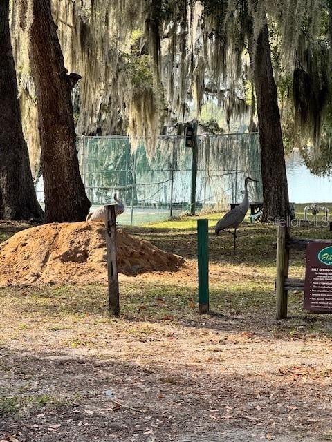 For Sale: $55,000 (0.06 acres)