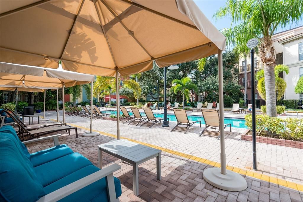 En Renta: $1,895 (1 camas, 1 baños, 789 Pies cuadrados)