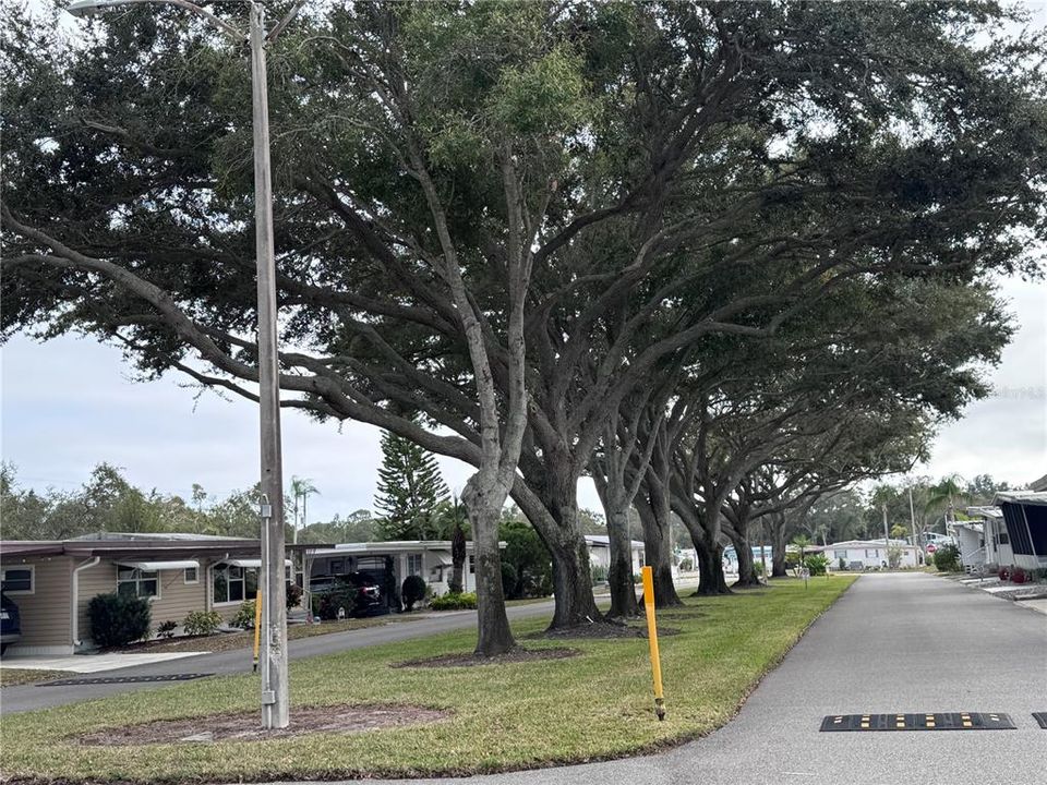 На продажу: $115,000 (2 спален, 2 ванн, 876 Квадратных фут)