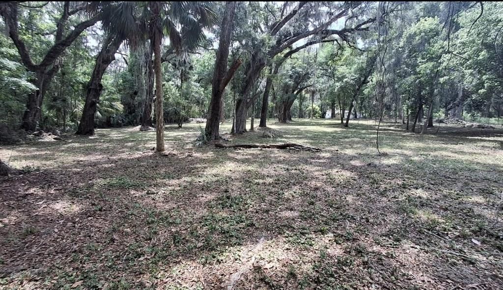 待售: $315,000 (3.01 acres)