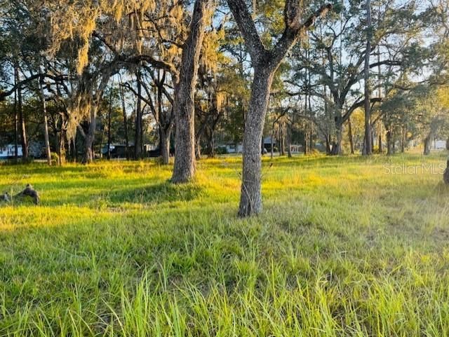 En Venta: $257,900 (1.47 acres)