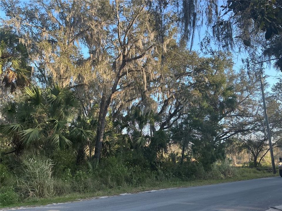 待售: $310,000 (20.00 acres)