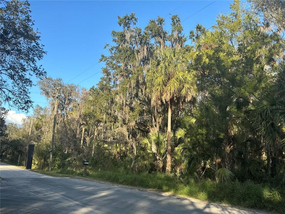 待售: $310,000 (20.00 acres)