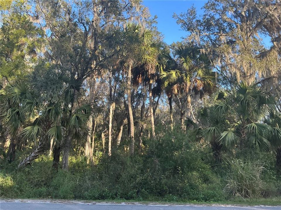 待售: $310,000 (20.00 acres)