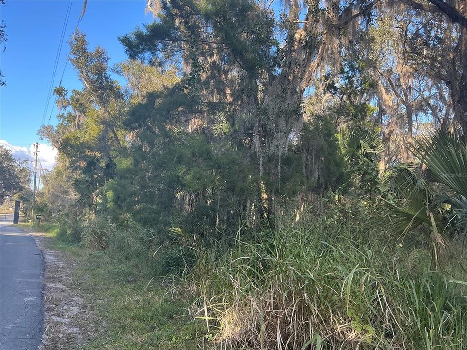 待售: $310,000 (20.00 acres)