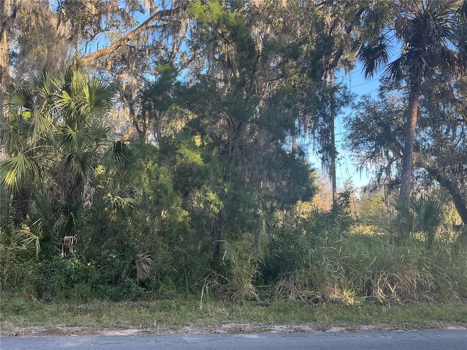 待售: $310,000 (20.00 acres)