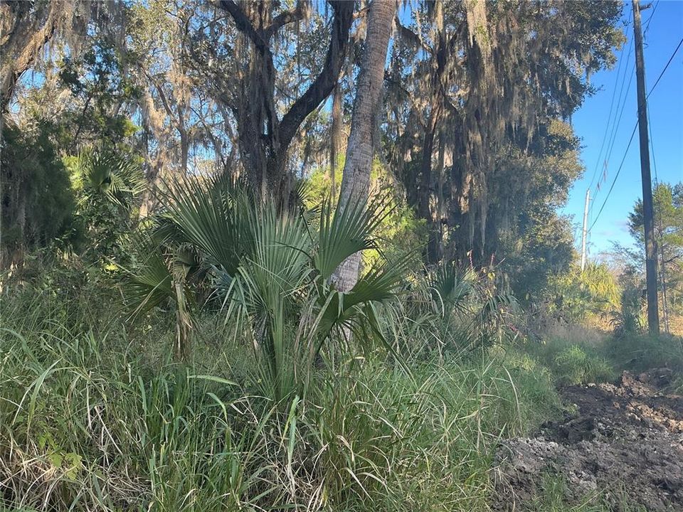 待售: $310,000 (20.00 acres)