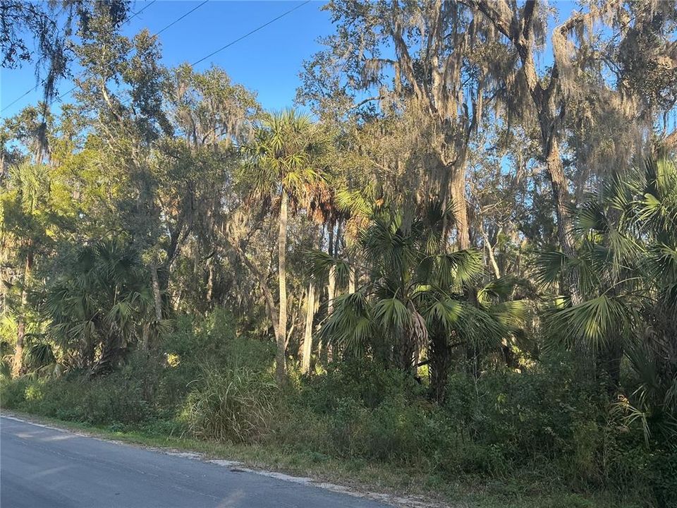 待售: $310,000 (20.00 acres)