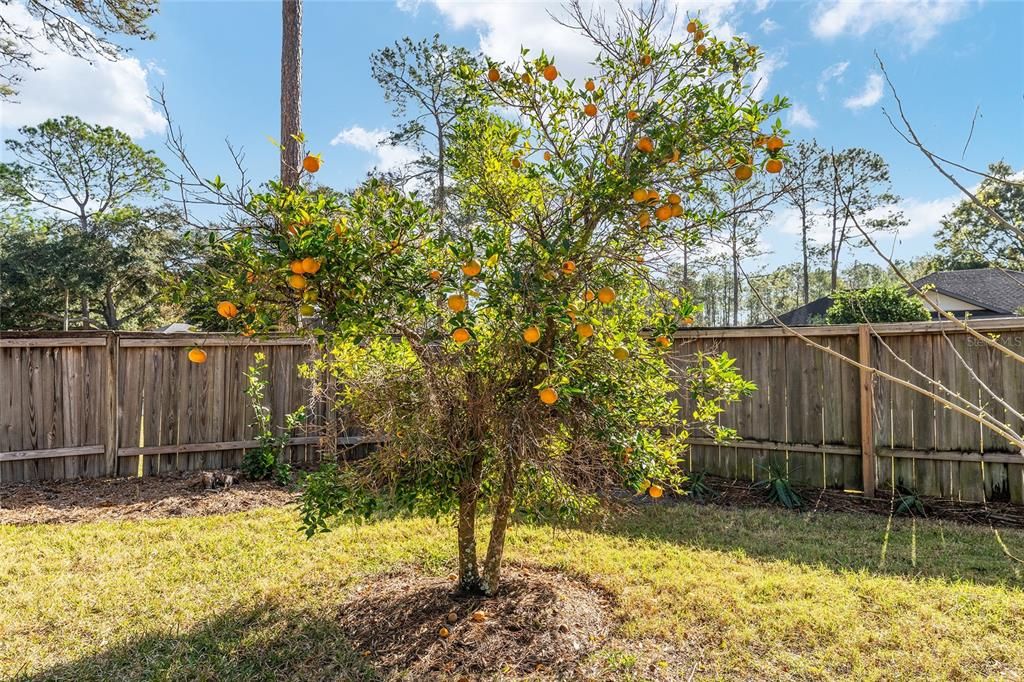 For Sale: $419,000 (4 beds, 2 baths, 1945 Square Feet)