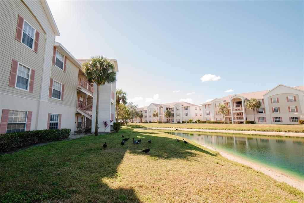 En Venta: $164,000 (3 camas, 2 baños, 1069 Pies cuadrados)