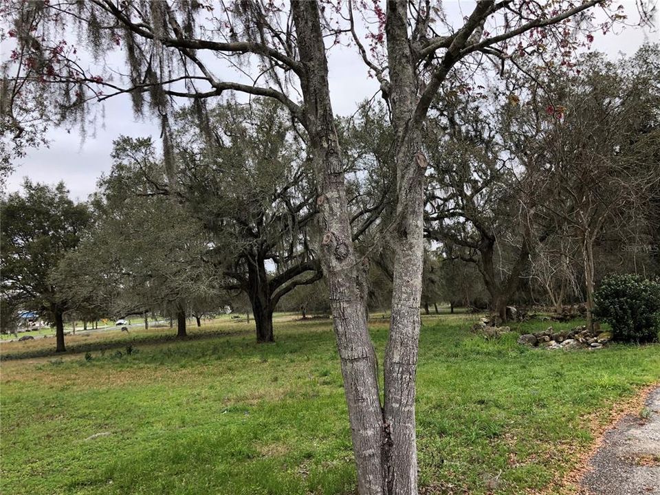 For Rent: $2,200 (4 beds, 3 baths, 1976 Square Feet)