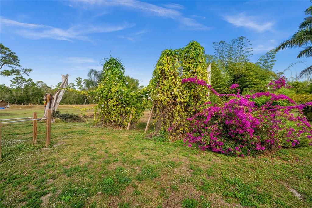 На продажу: $379,000 (3 спален, 2 ванн, 1787 Квадратных фут)