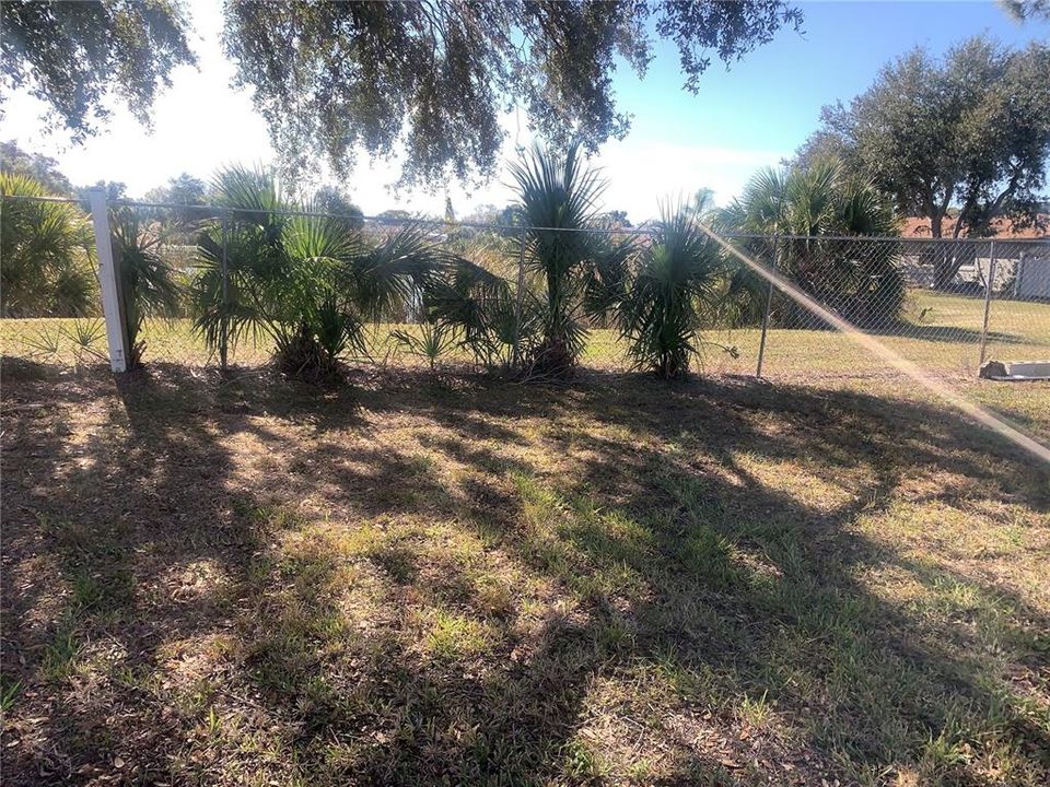 出租: $2,298 (3 贝兹, 2 浴室, 1778 平方英尺)