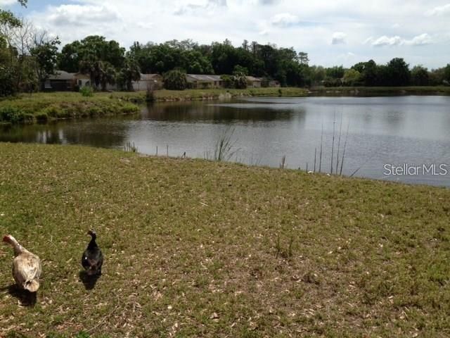 出租: $2,298 (3 贝兹, 2 浴室, 1778 平方英尺)