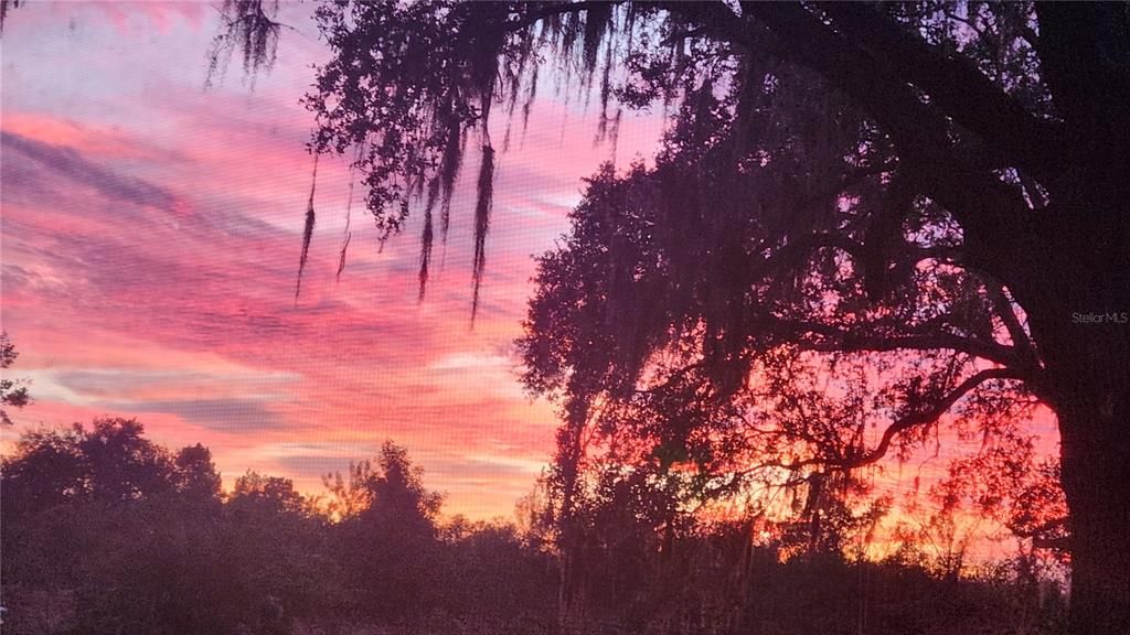 For Sale: $975,000 (3 beds, 2 baths, 1559 Square Feet)