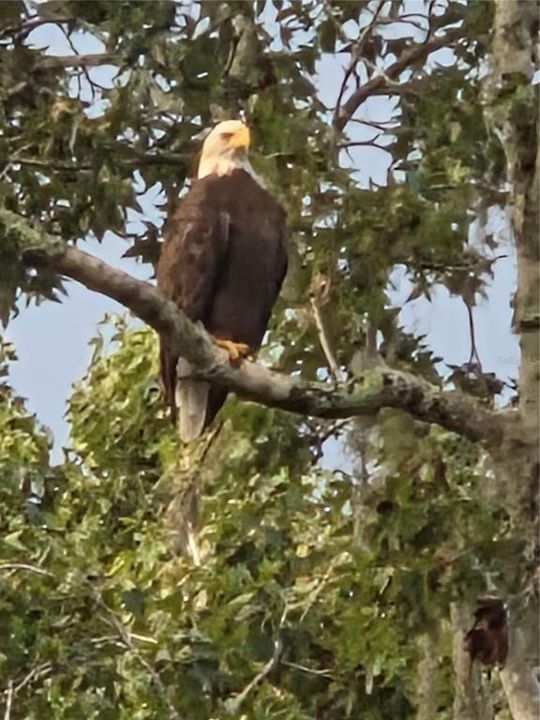 For Sale: $975,000 (3 beds, 2 baths, 1559 Square Feet)