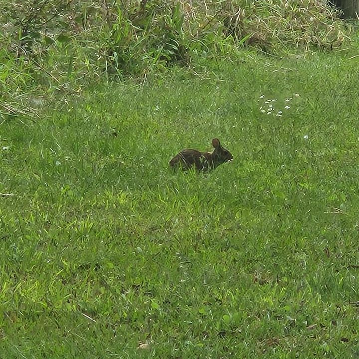 For Sale: $975,000 (3 beds, 2 baths, 1559 Square Feet)