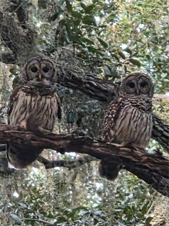 For Sale: $975,000 (3 beds, 2 baths, 1559 Square Feet)