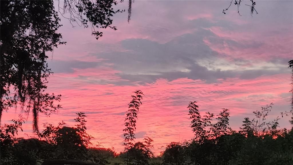 For Sale: $975,000 (3 beds, 2 baths, 1559 Square Feet)