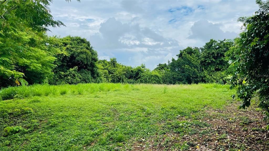 待售: $130,000 (0.71 acres)