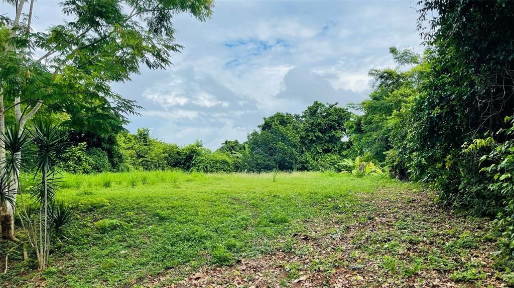 待售: $130,000 (0.71 acres)