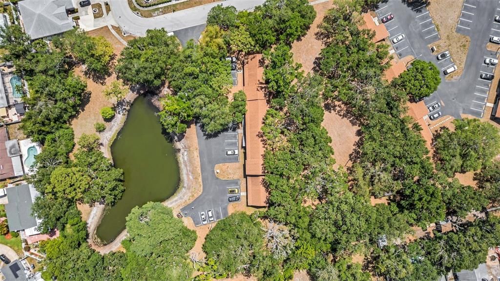 待售: $109,999 (0 贝兹, 1 浴室, 360 平方英尺)