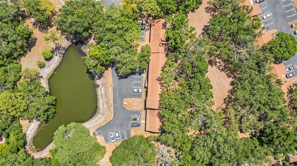 待售: $109,999 (0 贝兹, 1 浴室, 360 平方英尺)