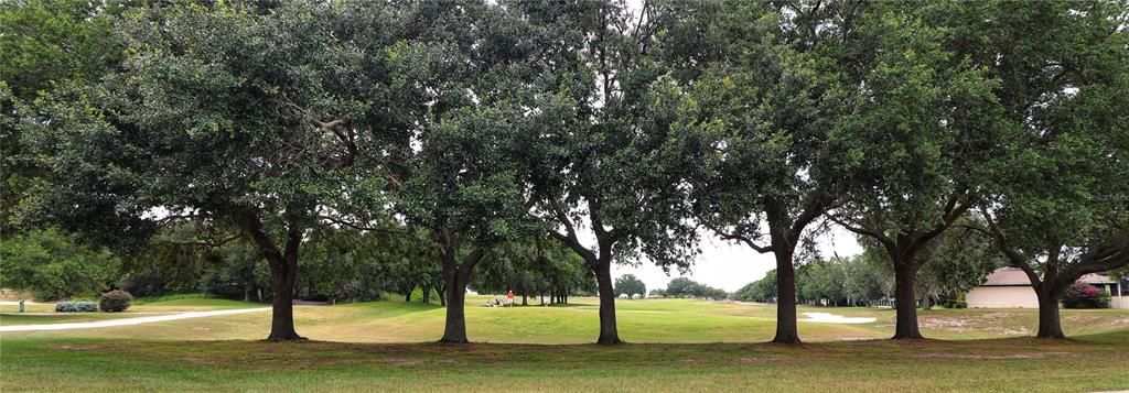 出租: $2,600 (3 贝兹, 2 浴室, 2869 平方英尺)