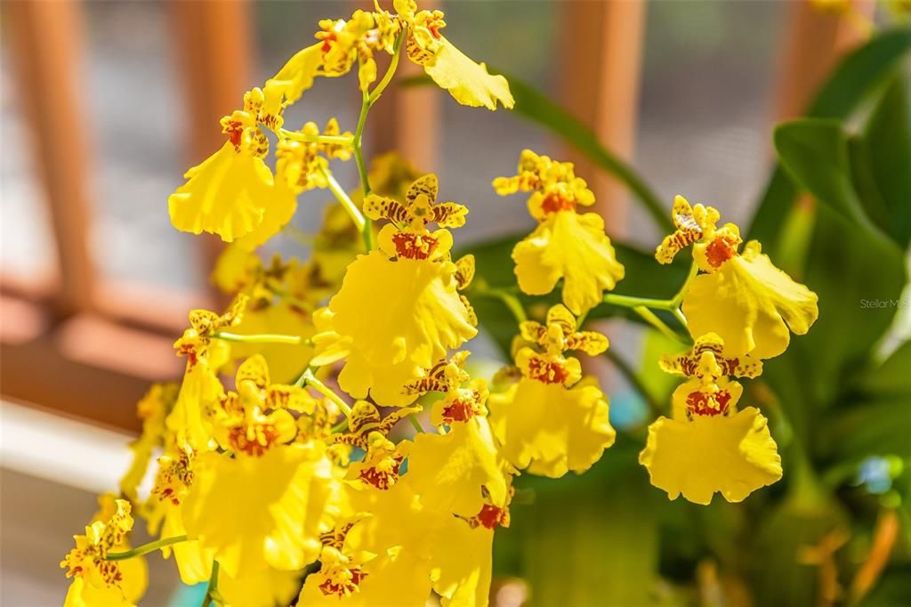 На продажу: $4,750,000 (4 спален, 4 ванн, 4039 Квадратных фут)