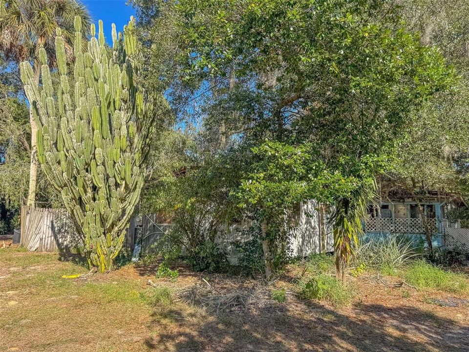 待售: $260,000 (2 贝兹, 2 浴室, 924 平方英尺)