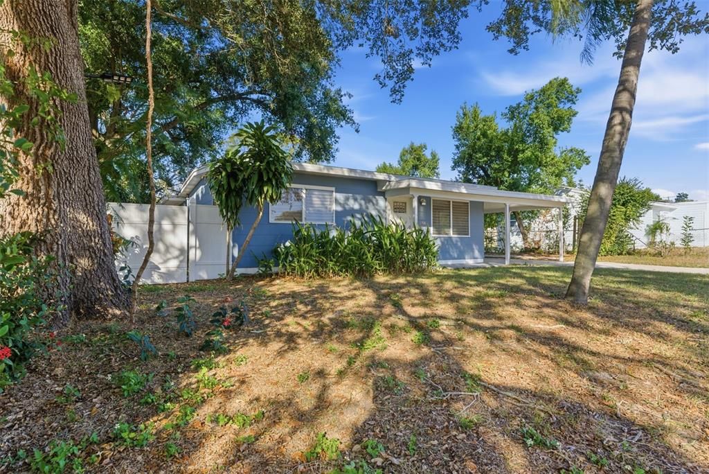 出租: $2,250 (3 贝兹, 1 浴室, 1520 平方英尺)