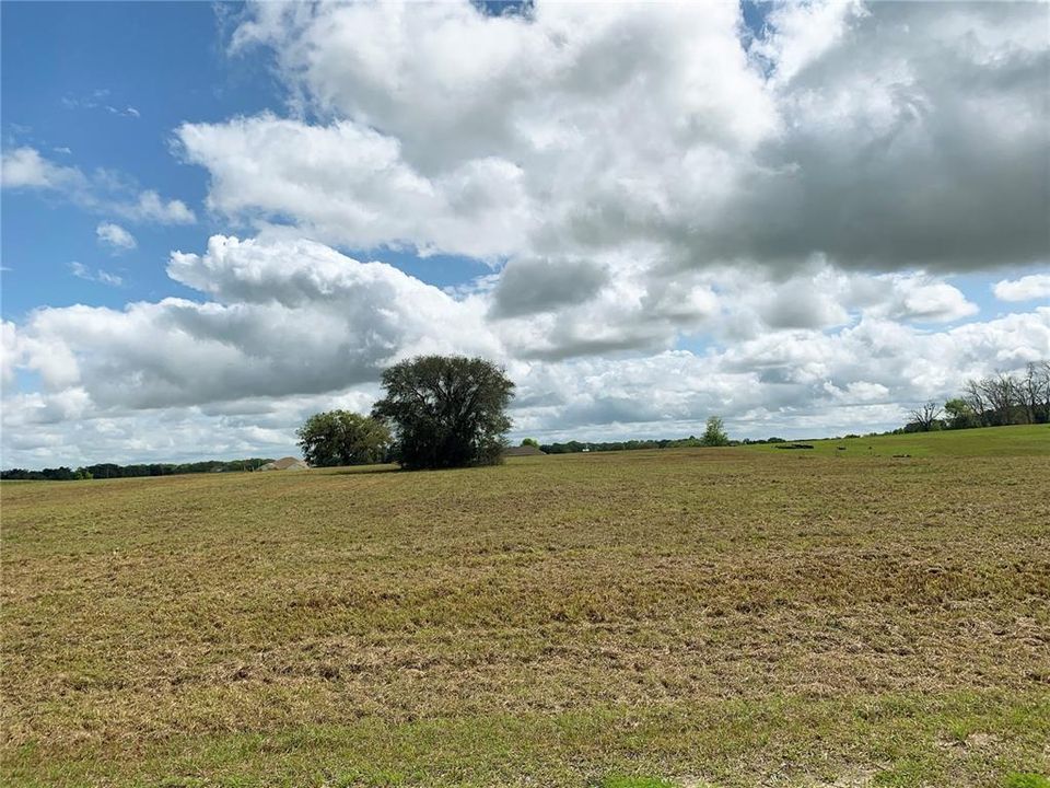 For Sale: $140,000 (3.26 acres)