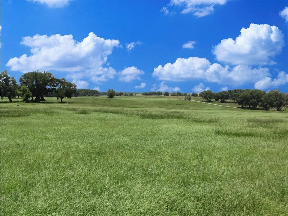 For Sale: $140,000 (3.26 acres)