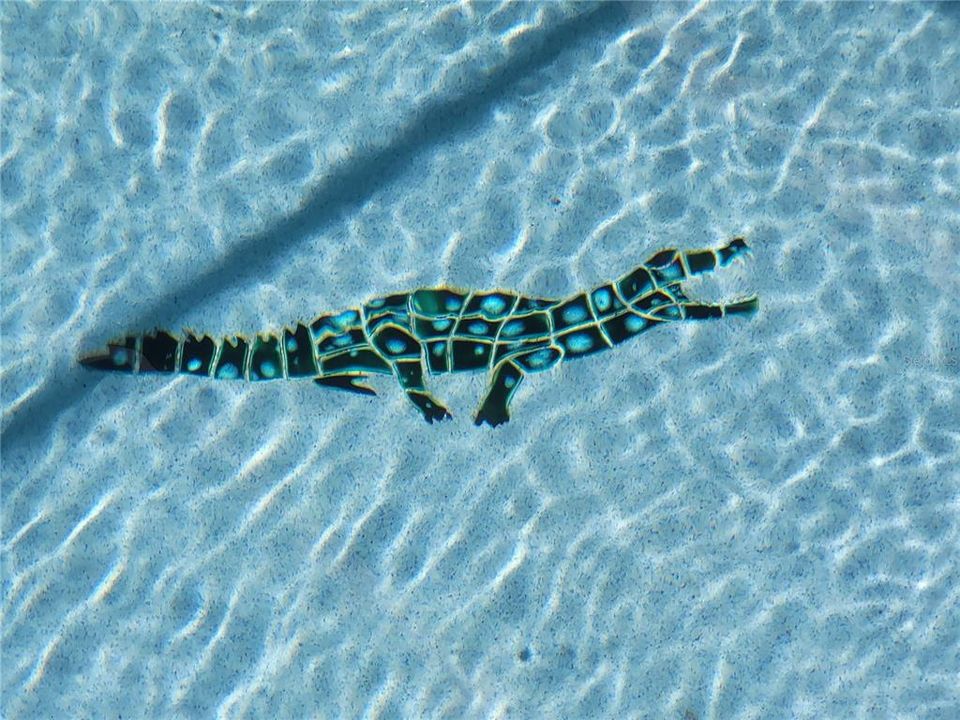 For Rent: $2,300 (3 beds, 2 baths, 1705 Square Feet)