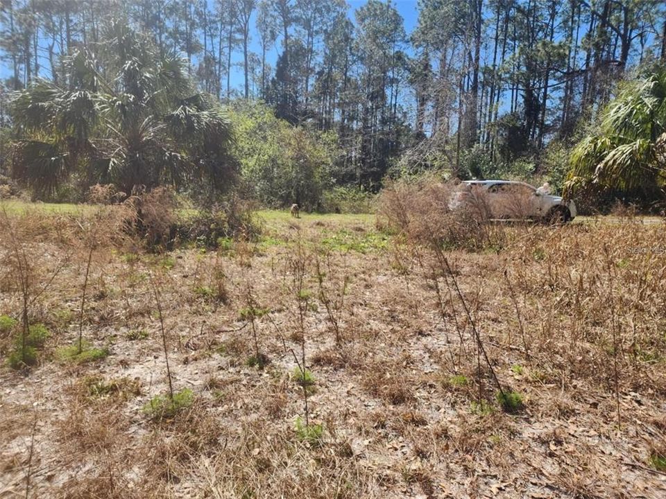 На продажу: $13,000 (0.23 acres)