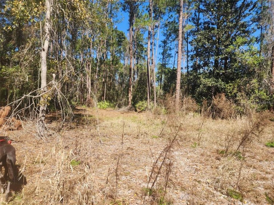 На продажу: $13,000 (0.23 acres)