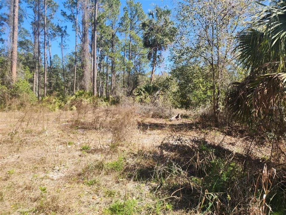 На продажу: $13,000 (0.23 acres)