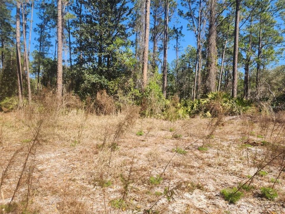 На продажу: $13,000 (0.23 acres)