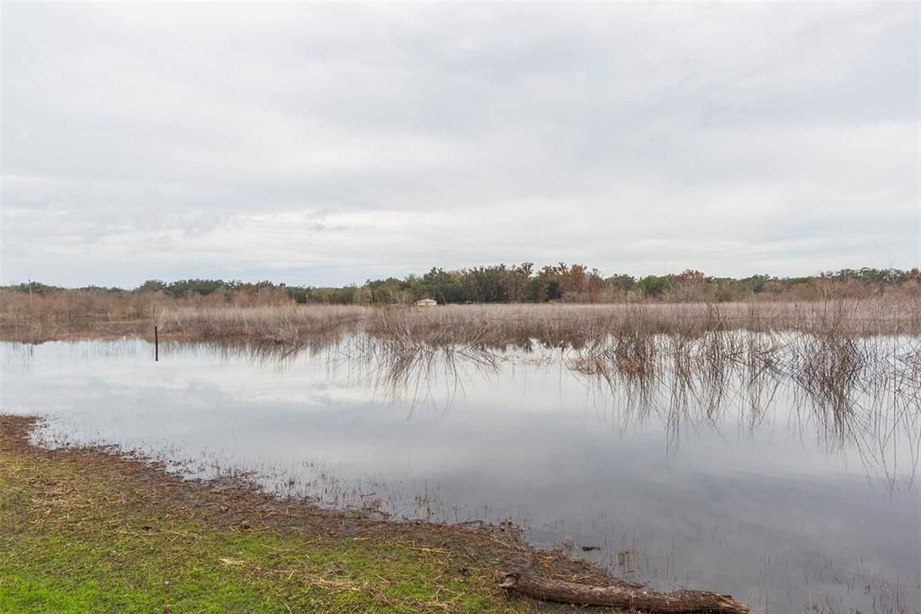 For Sale: $249,900 (3 beds, 2 baths, 1568 Square Feet)