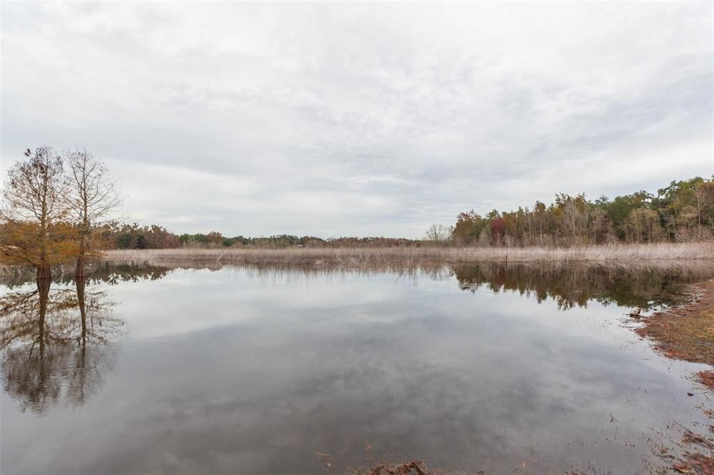 For Sale: $249,900 (3 beds, 2 baths, 1568 Square Feet)