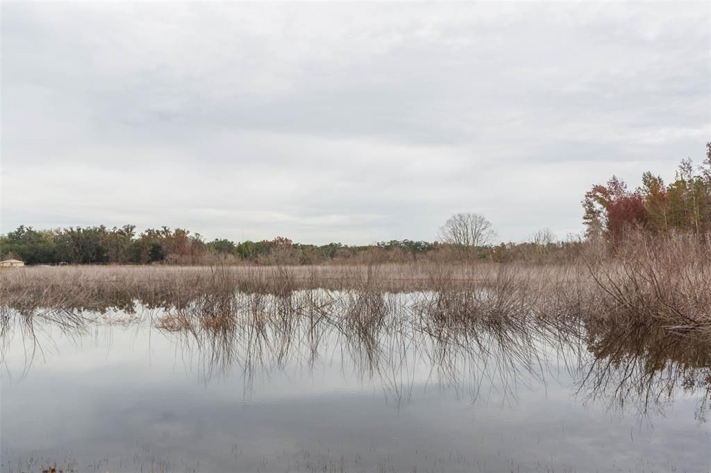 For Sale: $249,900 (3 beds, 2 baths, 1568 Square Feet)